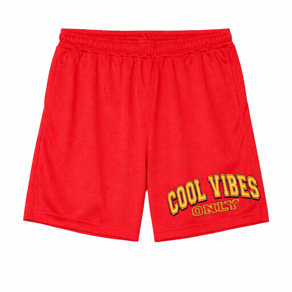Mesh Shorts